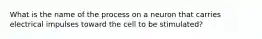 What is the name of the process on a neuron that carries electrical impulses toward the cell to be stimulated?