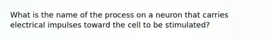 What is the name of the process on a neuron that carries electrical impulses toward the cell to be stimulated?