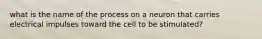 what is the name of the process on a neuron that carries electrical impulses toward the cell to be stimulated?