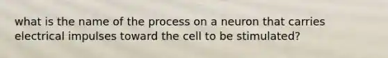 what is the name of the process on a neuron that carries electrical impulses toward the cell to be stimulated?