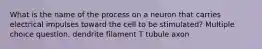 What is the name of the process on a neuron that carries electrical impulses toward the cell to be stimulated? Multiple choice question. dendrite filament T tubule axon