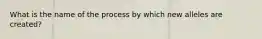 What is the name of the process by which new alleles are created?