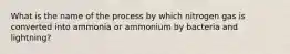 What is the name of the process by which nitrogen gas is converted into ammonia or ammonium by bacteria and lightning?