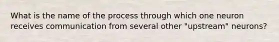 What is the name of the process through which one neuron receives communication from several other "upstream" neurons?