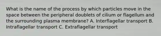 What is the name of the process by which particles move in the space between the peripheral doublets of cilium or flagellum and the surrounding plasma membrane? A. Interflagellar transport B. Intraflagellar transport C. Extraflagellar transport