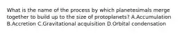 What is the name of the process by which planetesimals merge together to build up to the size of protoplanets? A.Accumulation B.Accretion C.Gravitational acquisition D.Orbital condensation