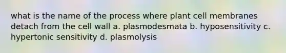 what is the name of the process where plant cell membranes detach from the cell wall a. plasmodesmata b. hyposensitivity c. hypertonic sensitivity d. plasmolysis