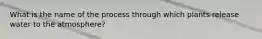 What is the name of the process through which plants release water to the atmosphere?