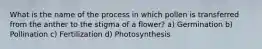 What is the name of the process in which pollen is transferred from the anther to the stigma of a flower? a) Germination b) Pollination c) Fertilization d) Photosynthesis