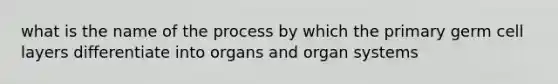 what is the name of the process by which the primary germ cell layers differentiate into organs and organ systems