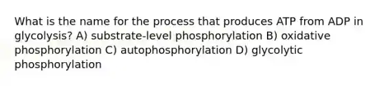 What is the name for the process that produces ATP from ADP in glycolysis? A) substrate-level phosphorylation B) <a href='https://www.questionai.com/knowledge/kFazUb9IwO-oxidative-phosphorylation' class='anchor-knowledge'>oxidative phosphorylation</a> C) autophosphorylation D) glycolytic phosphorylation