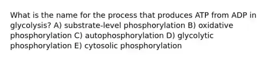 What is the name for the process that produces ATP from ADP in glycolysis? A) substrate-level phosphorylation B) <a href='https://www.questionai.com/knowledge/kFazUb9IwO-oxidative-phosphorylation' class='anchor-knowledge'>oxidative phosphorylation</a> C) autophosphorylation D) glycolytic phosphorylation E) cytosolic phosphorylation