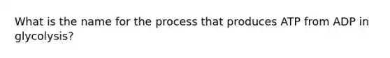 What is the name for the process that produces ATP from ADP in glycolysis?