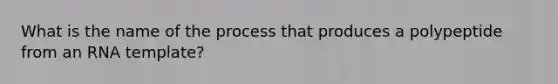 What is the name of the process that produces a polypeptide from an RNA template?