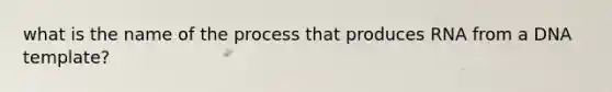 what is the name of the process that produces RNA from a DNA template?