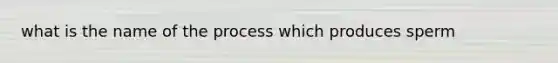 what is the name of the process which produces sperm