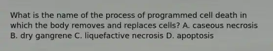 What is the name of the process of programmed cell death in which the body removes and replaces cells? A. caseous necrosis B. dry gangrene C. liquefactive necrosis D. apoptosis