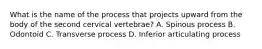 What is the name of the process that projects upward from the body of the second cervical vertebrae? A. Spinous process B. Odontoid C. Transverse process D. Inferior articulating process