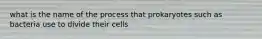 what is the name of the process that prokaryotes such as bacteria use to divide their cells