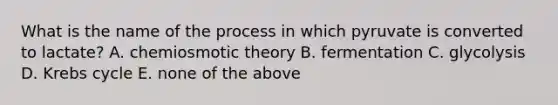 What is the name of the process in which pyruvate is converted to lactate? A. chemiosmotic theory B. fermentation C. glycolysis D. <a href='https://www.questionai.com/knowledge/kqfW58SNl2-krebs-cycle' class='anchor-knowledge'>krebs cycle</a> E. none of the above