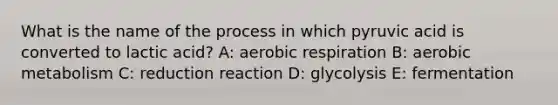 What is the name of the process in which pyruvic acid is converted to lactic acid? A: <a href='https://www.questionai.com/knowledge/kyxGdbadrV-aerobic-respiration' class='anchor-knowledge'>aerobic respiration</a> B: aerobic metabolism C: reduction reaction D: glycolysis E: fermentation