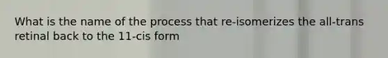 What is the name of the process that re-isomerizes <a href='https://www.questionai.com/knowledge/kAL0udV9XV-the-all' class='anchor-knowledge'>the all</a>-trans retinal back to the 11-cis form