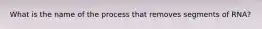 What is the name of the process that removes segments of RNA?