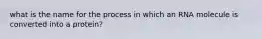 what is the name for the process in which an RNA molecule is converted into a protein?