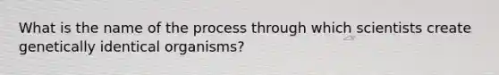 What is the name of the process through which scientists create genetically identical organisms?