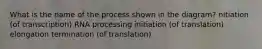 What is the name of the process shown in the diagram? nitiation (of transcription) RNA processing initiation (of translation) elongation termination (of translation)