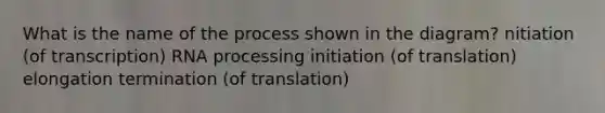 What is the name of the process shown in the diagram? nitiation (of transcription) RNA processing initiation (of translation) elongation termination (of translation)