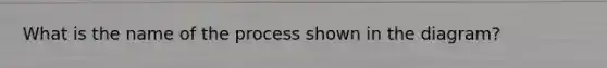 What is the name of the process shown in the diagram?