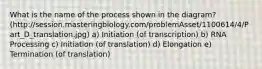 What is the name of the process shown in the diagram? (http://session.masteringbiology.com/problemAsset/1100614/4/Part_D_translation.jpg) a) Initiation (of transcription) b) RNA Processing c) Initiation (of translation) d) Elongation e) Termination (of translation)