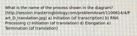 What is the name of the process shown in the diagram? (http://session.masteringbiology.com/problemAsset/1100614/4/Part_D_translation.jpg) a) Initiation (of transcription) b) <a href='https://www.questionai.com/knowledge/kapY3KpASG-rna-processing' class='anchor-knowledge'>rna processing</a> c) Initiation (of translation) d) Elongation e) Termination (of translation)