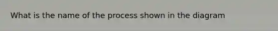 What is the name of the process shown in the diagram