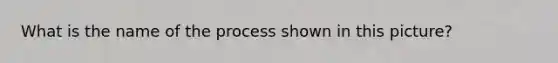 What is the name of the process shown in this picture?