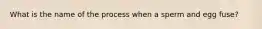 What is the name of the process when a sperm and egg fuse?