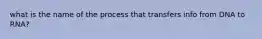 what is the name of the process that transfers info from DNA to RNA?