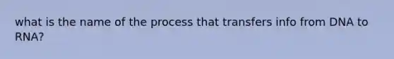 what is the name of the process that transfers info from DNA to RNA?