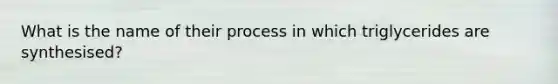 What is the name of their process in which triglycerides are synthesised?