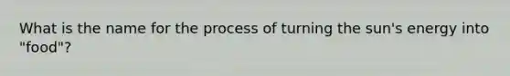 What is the name for the process of turning the sun's energy into "food"?