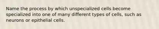 Name the process by which unspecialized cells become specialized into one of many different types of cells, such as neurons or epithelial cells.