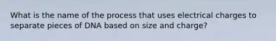 What is the name of the process that uses electrical charges to separate pieces of DNA based on size and charge?