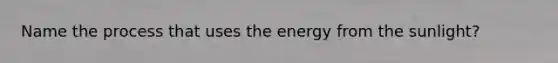 Name the process that uses the energy from the sunlight?