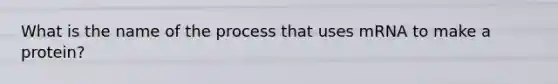 What is the name of the process that uses mRNA to make a protein?