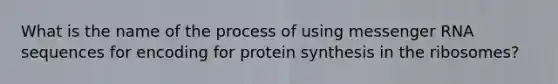 What is the name of the process of using messenger RNA sequences for encoding for protein synthesis in the ribosomes?