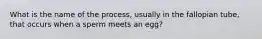 What is the name of the process, usually in the fallopian tube, that occurs when a sperm meets an egg?