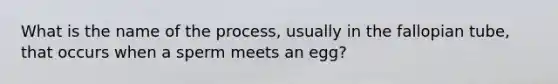 What is the name of the process, usually in the fallopian tube, that occurs when a sperm meets an egg?