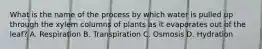 What is the name of the process by which water is pulled up through the xylem columns of plants as it evaporates out of the leaf? A. Respiration B. Transpiration C. Osmosis D. Hydration