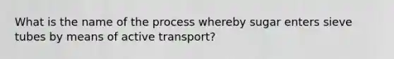 What is the name of the process whereby sugar enters sieve tubes by means of active transport?